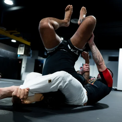 adult brazilian jiu jitsu no-gi class