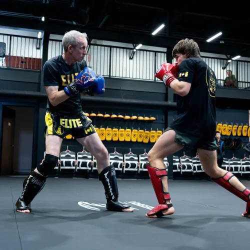Martial art gym Quarry Park at Elite Martial Arts with adult muay thai Calgary Training