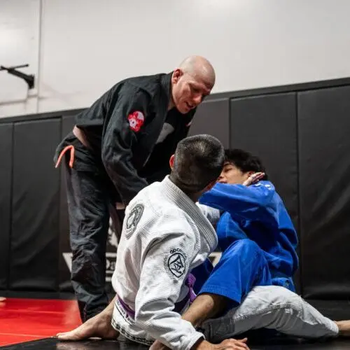 BJJ in Flint Road practitioners sparring with an instructor observing their techniques