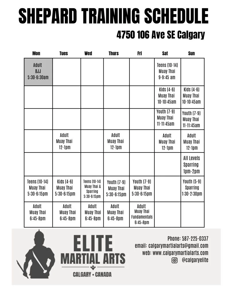A weekly training schedule outlines class times and age groups for a martial arts program